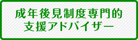 成年後見制度専門的支援アドバイザー